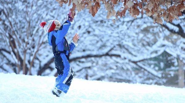 horoscop zilnic 11 ianuarie 2022 majoritatea semnelor au succes la locul de munca