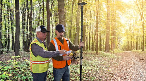 romsilva vrea sa concedieze 415 salariati