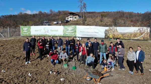 crama ceptura parte a purcari wineries continua seria de proiecte de sustinere a mediului si a comunitatii