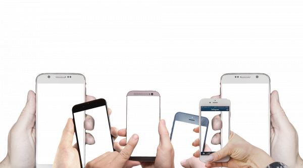 revolutia verde a inceput in lumea occidentala dar flacara ei este intretinuta de china