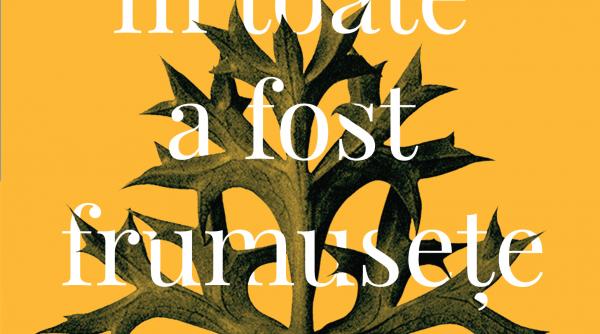 cea mai buna carte a anului 2018 din spania conform criticilor de la el pais el mundo el heraldo si el cultural tradusa in colectia anansi