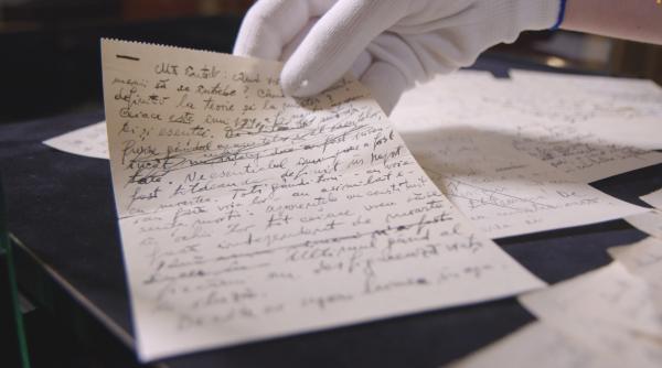 7 colectii scoase la licitatie