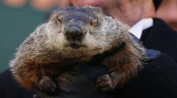 2 februarie ziua cartitei semnificatia zilei in diverse culturi