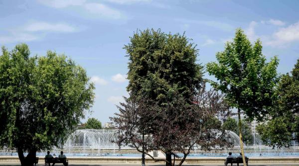 indicele verde per locuitor nebuloasa din curtea lui nicusor