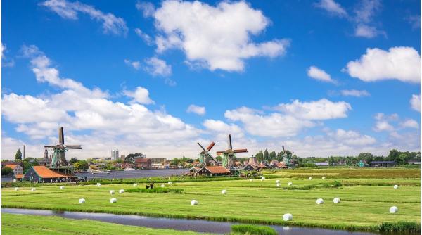 olanda vinovata de actele de violenta extrema din timpul razboiului de independenta al indoneziei