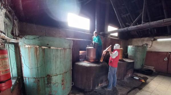 pietroasele razboiul tescovinei si printesa tuicii