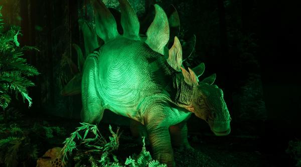 noi descoperiri despre dinozauri s a aflat perioada in care au disparut de pe pamant