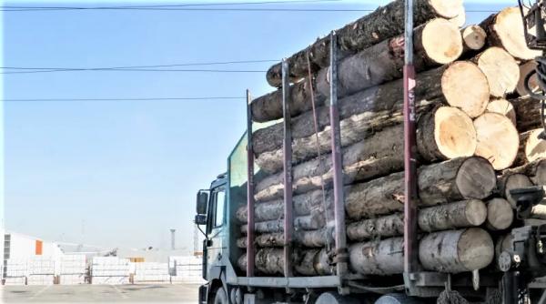 actul normativ care interzice restrictiile de pandemie si liniile progresiste padurile nu mai pot fi taiate si vandute in urmatoarea suta de ani