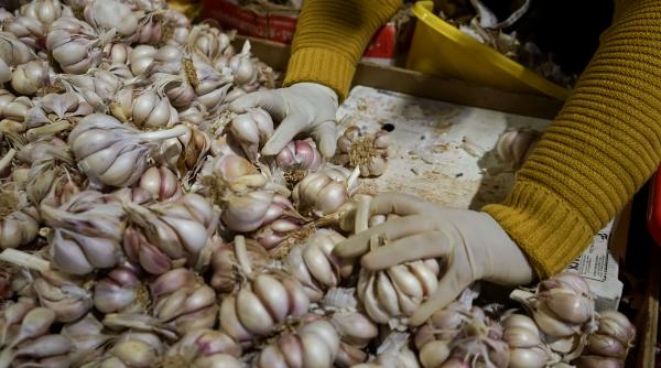 exporturile chinezesti de usturoi si ghimbir lovite de razboi