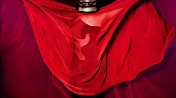 expozitia eveniment stilul doina levintza din 25 martie la arcub