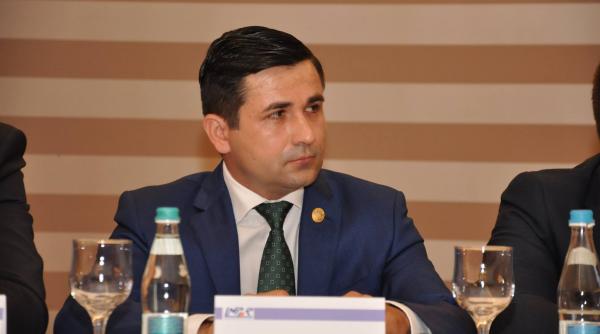 partenerul de business al familiei elenei udrea condamnat definitiv in dosarul carpatica asig