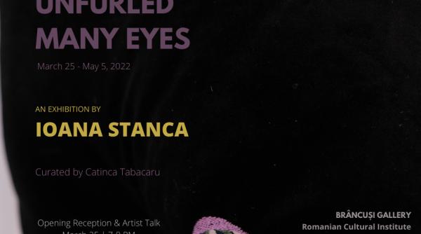 vernisaj expozitie ioana stanca la new york