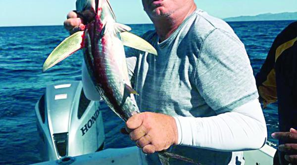 batranul si marea nu este doar o mare poveste