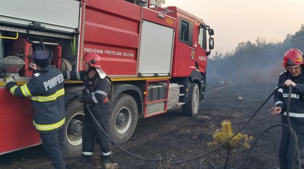 incendiu de proportii la buzau au ars zeci de hectare de padure si vegetatie