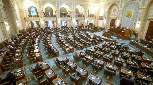 camera deputatilor a votat legea activitatilor casnice