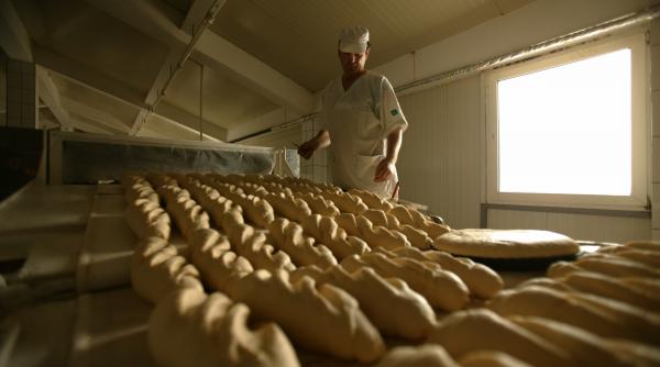 cu un centru de excelenta si un forum national guvernul vrea sa urneasca strategia pentru dezvoltarea durabila a romaniei