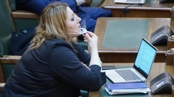 diana sosoaca vrea instituirea pedepsei pe viata pentru subminarea economiei nationale