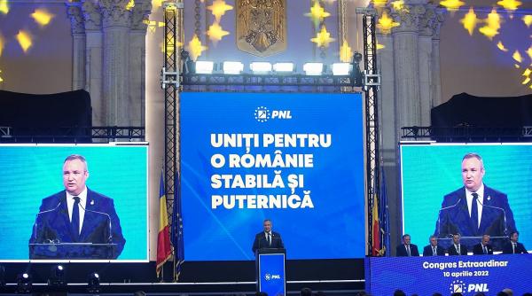 nicolae ciuca noul presedinte al pnl