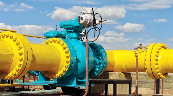 usr a scris legea fara petrol gaze si carbune din rusia