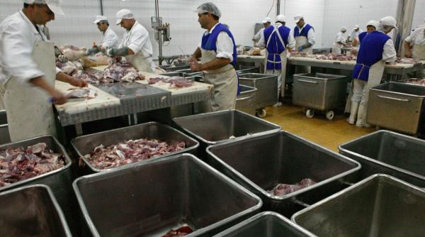 Salariul minim garantat în agricultură și industria alimentară crește la 3.000 lei/brut