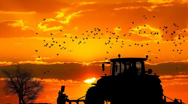 salariul minim garantat in agricultura si industria alimentara creste la 3 000 lei brut