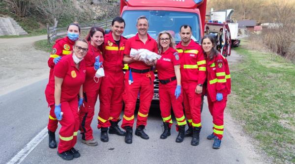 cluj o fetita s a nascut in ambulanta care o ducea pe mama la maternitate