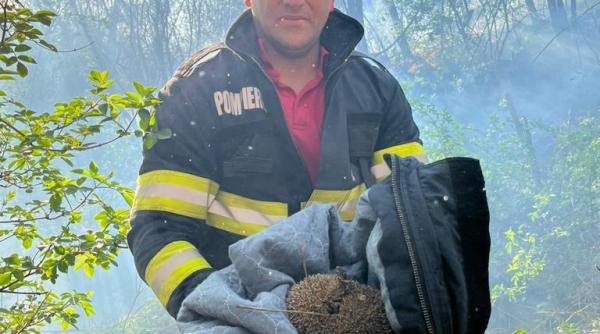 incendiu de vegetatie uscata in mehedinti