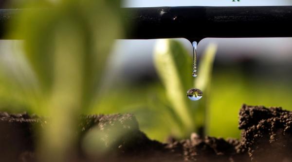 te gandesti sa instalezi un sistem de irigare disponibil la nu oricum afla tot trebuie sa stii