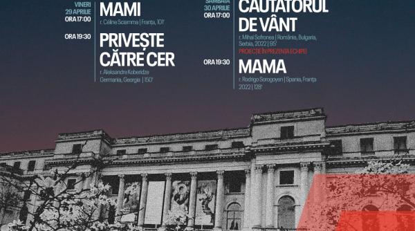 cinemateca tiff mnar un program de filme de calitate in sala auditorium a muzeului national de arta al romaniei