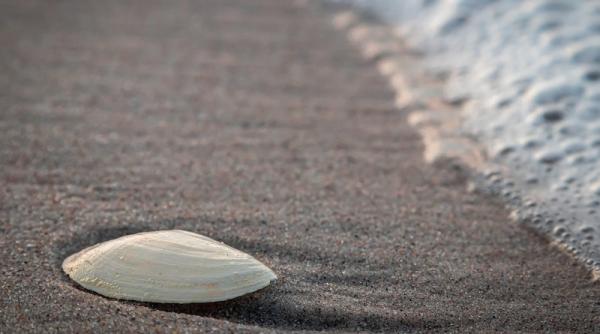 costinesti cum te distrezi aici cand vii pentru un weekend sau o vacanta