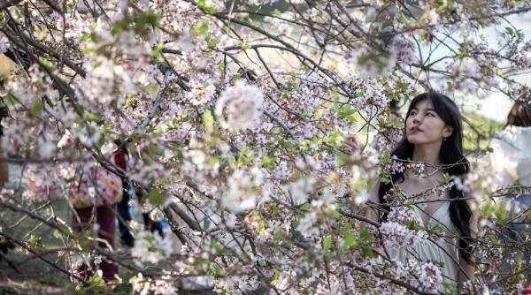 horoscop zilnic 13 mai 2022 gemenii iau decizii pripite balantele se pregatesc de o calatorie