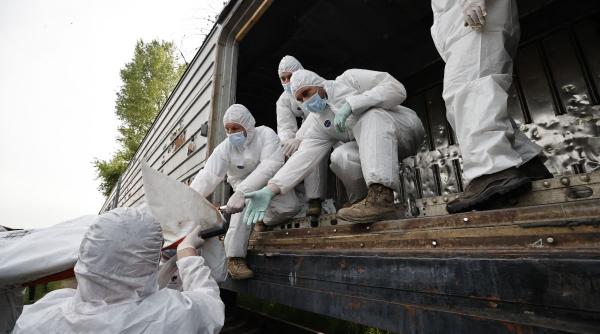 live text razboi in ucraina ziua 82