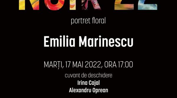 expozitia pictoritei emilia marinescu noir 22 la opera nationala bucuresti