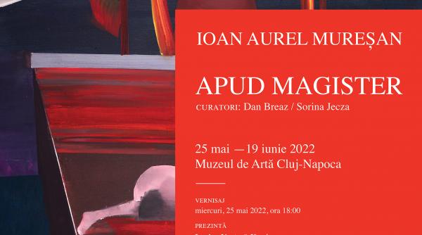 expozitie ioan aurel muresan la muzeul de arta din cluj napoca