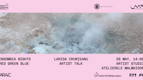 insomnia nights alaturi de artista larisa crunteanu la atelierele malmaison