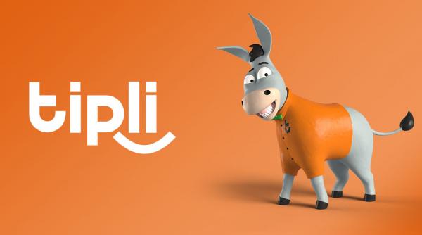 utilizarea internetului pentru tot felul de cumparaturi