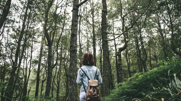 ghid de bune practici lansat de wwf romania cu ocazia zilei mondiale a mediului