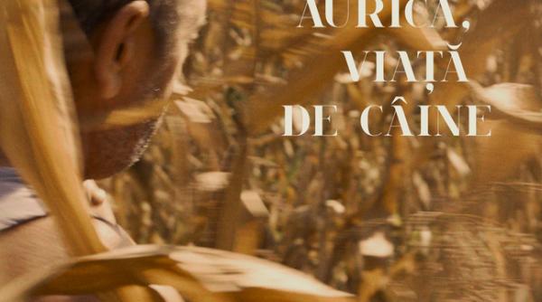 aurica viata de caine cum a ajuns un fost detinut personaj principal intr un film despre iubirea fata de animalele abandonate