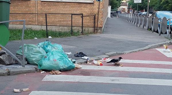 barbat din sectorul 6 amendat cu 10 000 de lei pentru ca si a lasat gunoiul in poarta unui vecin
