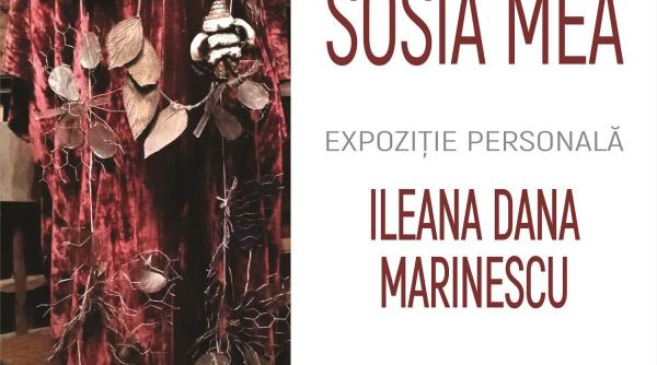 sosia mea expozitie personala ileana dana marinescu la muzeul national cotroceni