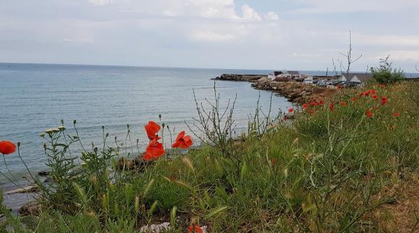 litoralul la control preturi spinoase apa rece si conditii cu adevarat rurale la 2 mai jurnal de vacanta la mare 2 mai visul unui miez de vara