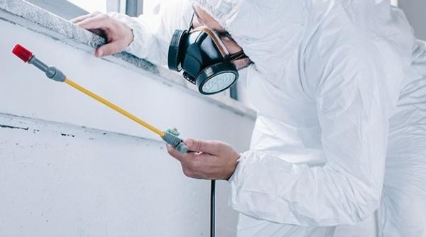 politia capitalei isi dezinfecteaza cladirile cu ajutorul unei firme abonate la contracte cu entitati conduse de pnl