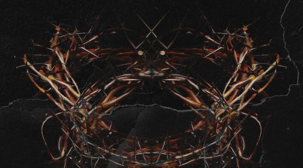 trupa the case a lansat throne un single cat o calatorie in intimitatile mintii