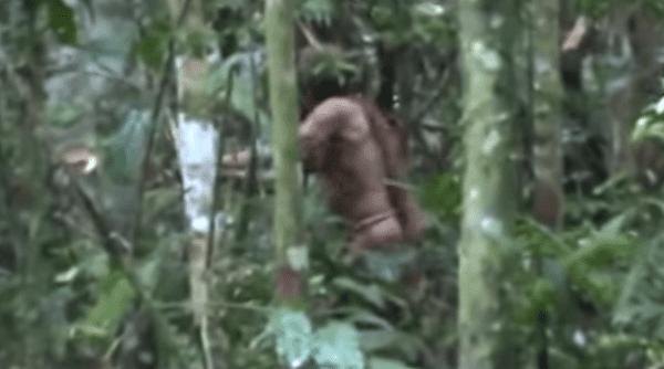 crima din jungla amazoniana jurnalistul britanic a fost impuscat cu munitie de vanatoare