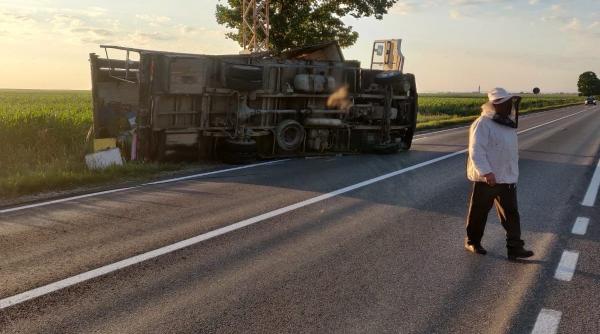 un camion care transporta albine s a rasturnat pe dn 2 in neamt