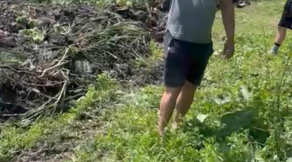 Lângă București, legea se face cu sabia, iar Poliția Ilfov nu are timp de anchete