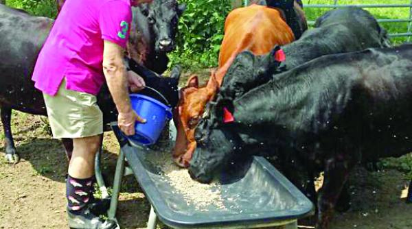 americanii se pregatesc pentru lipsuri