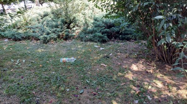 nereguli in cismigiu iarba necosita arbori netoaletati si banci murdare