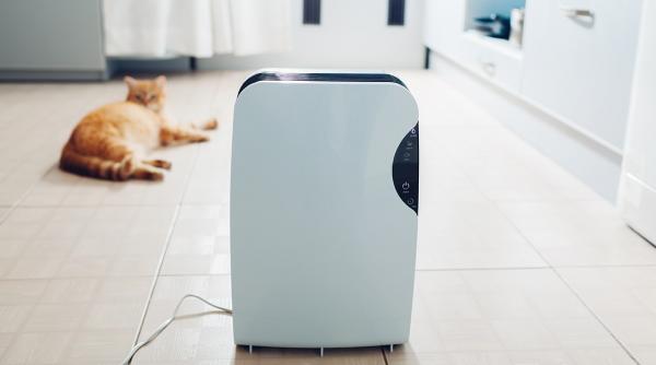 cat de eficiente sunt purificatoarele de aer impotriva alergiilor