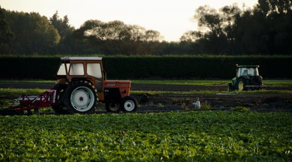 ministerul agriculturii lanseaza un ajutor exceptional pentru sectoarele suin si avicol